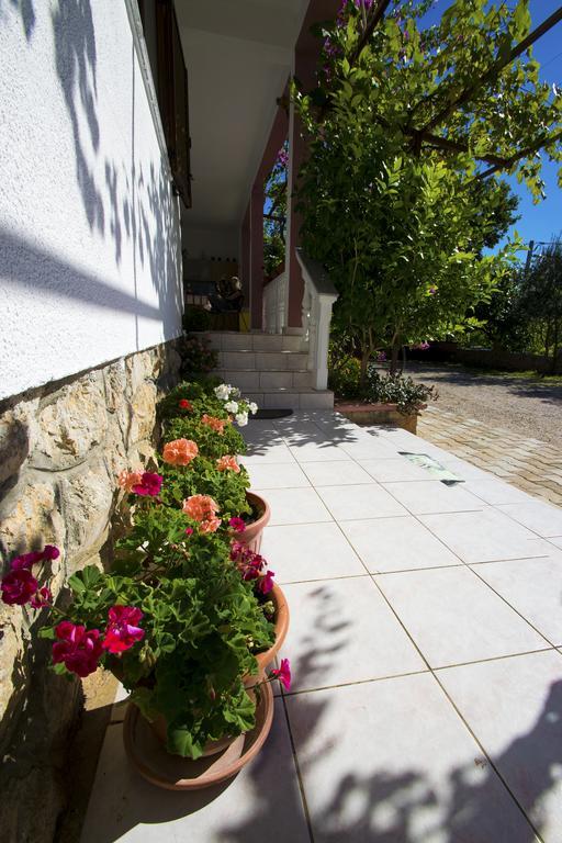 Apartments Zile Starigrad Paklenica Eksteriør bilde