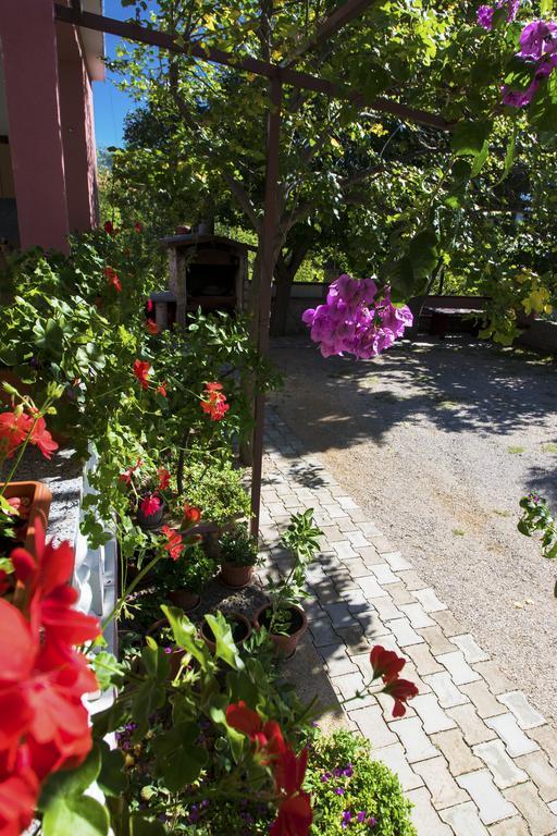 Apartments Zile Starigrad Paklenica Eksteriør bilde