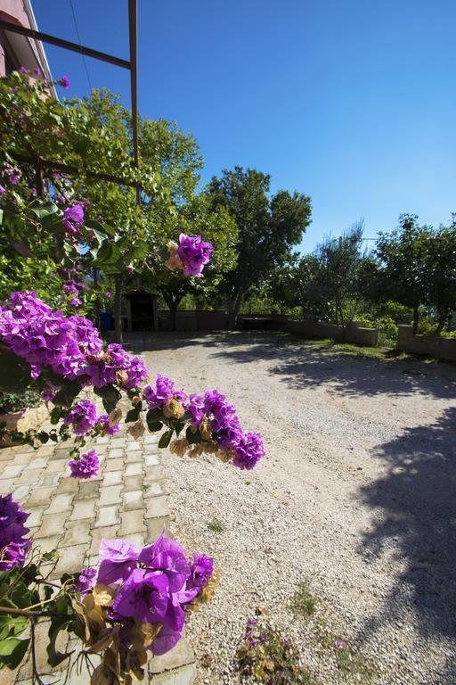 Apartments Zile Starigrad Paklenica Eksteriør bilde