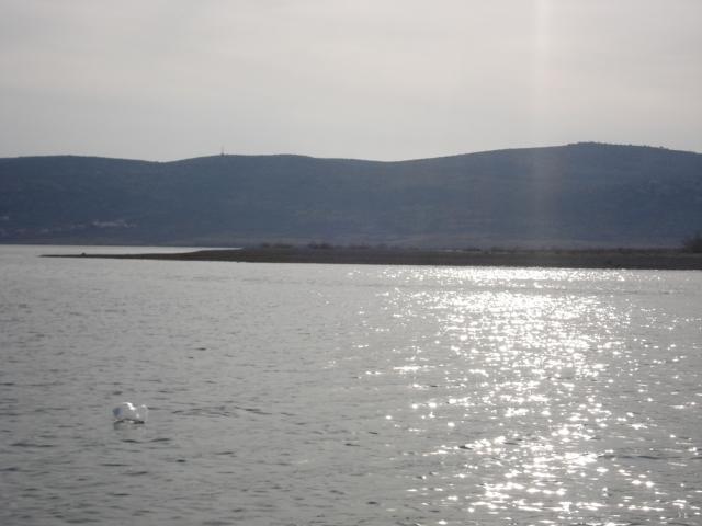 Apartments Zile Starigrad Paklenica Eksteriør bilde